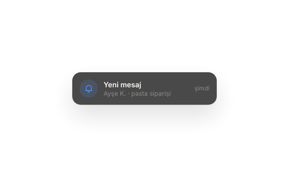 Bildirim: Ayşe K.'dan yeni mesaj