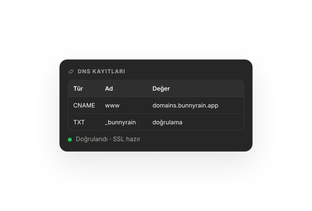 DNS kayıtları: www için CNAME ve doğrulama için TXT kaydı; doğrulandı, SSL hazır