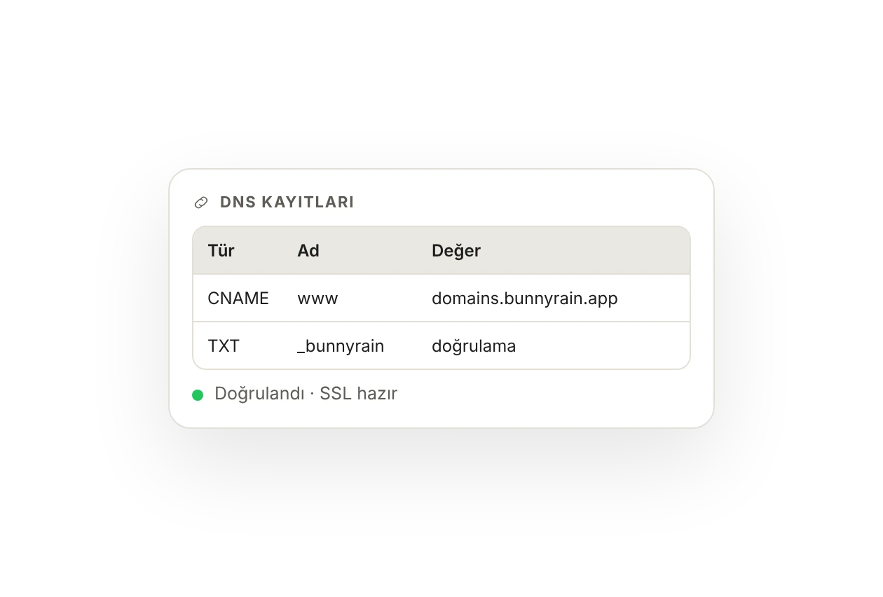 DNS kayıtları: www için CNAME ve doğrulama için TXT kaydı; doğrulandı, SSL hazır