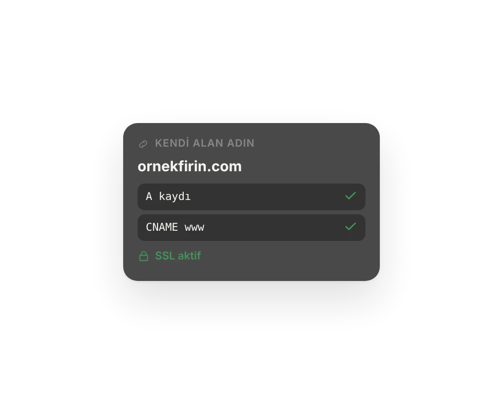 Kendi alan adın: ornekfirin.com bağlandı, SSL aktif